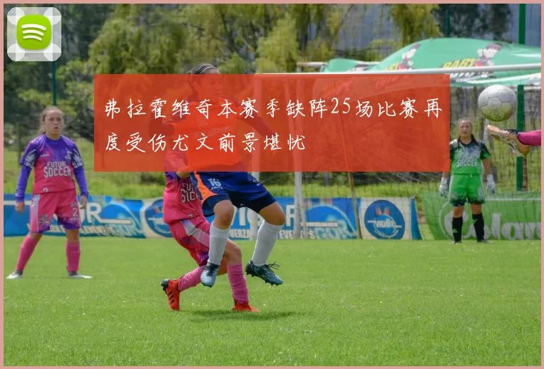 弗拉霍维奇本赛季缺阵25场比赛再度受伤尤文前景堪忧